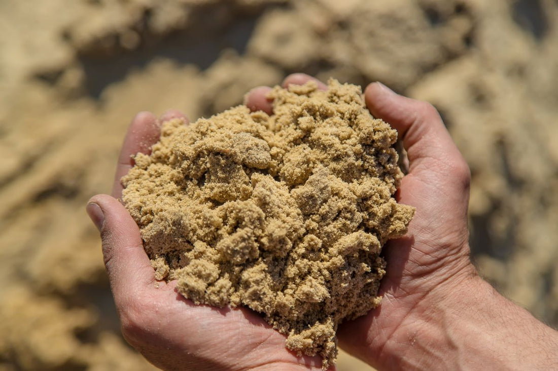 Mineralfutter richtig wählen – so vermeidest du Mangel oder Überversorgung