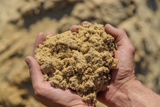 Mineralfutter richtig wählen – so vermeidest du Mangel oder Überversorgung