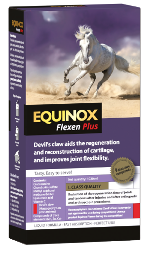 EQUINOX Flexen Plus