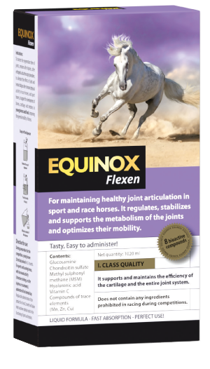 EQUINOX Flexen