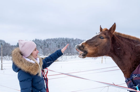 Winterfütterung beim Pferd – worauf du achten solltest