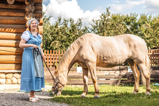 Alte Pferde richtig füttern – was Seniorpferde wirklich brauchen - ahipos-horses