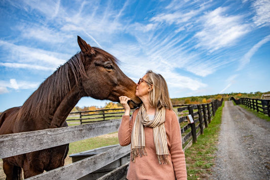 Atemwege & Jahreszeiten – wie sich der Luftwechsel auf dein Pferd auswirkt