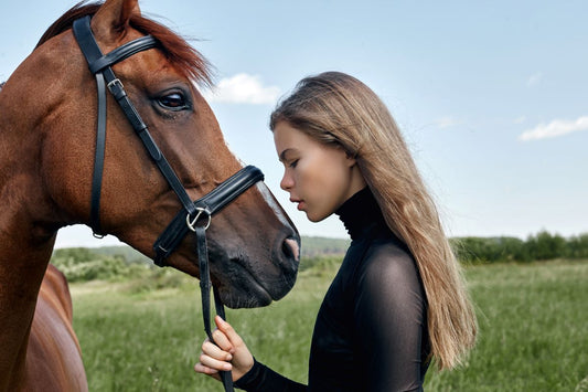 Atemwegsprobleme beim Pferd: Husten, Ursachen & Stallklima - ahipos-horses