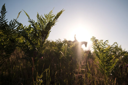 Die 3-Phasen-Strategie zur Regeneration nach dem Turnier: