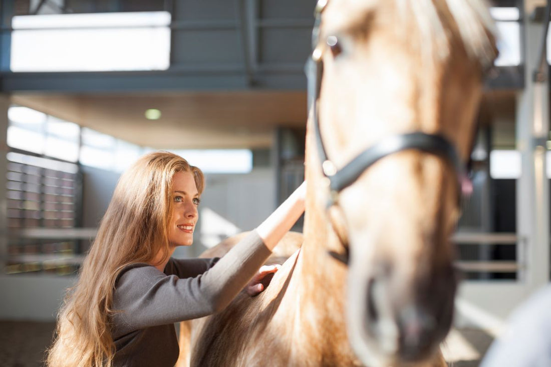 Botulismus beim Pferd – wie du dein Pferd vor dem gefährlichen Bakterientoxin schützt - ahipos-horses