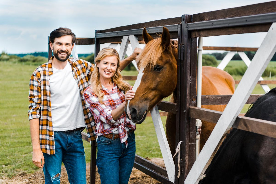 Box oder Offenstall? – Vor- und Nachteile für Pferd und Reiter - ahipos-horses
