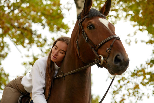 Die Leber beim Pferd: Entgiftungszentrale, Leberwerte und Regeneration - ahipos-horses