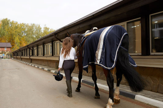 Eindecken im Winter – Schutz oder Mode? - ahipos-horses