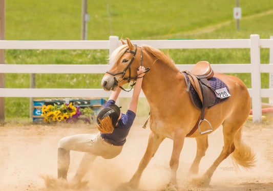 Chronische Schreckhaftigkeit beim Pferd: Trainingsthema oder Mineralstoffproblem?