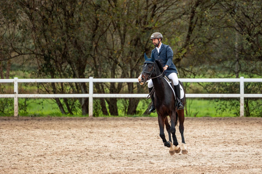 Postbiotika, Fermente & Lebendhefe: Was der Pferdedarm wirklich braucht