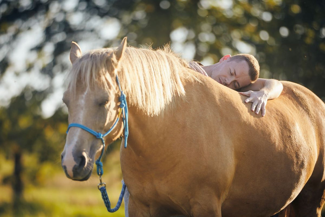 ESGUS vs. EGGUS: Die zwei Gesichter von Magengeschwüren - ahipos-horses