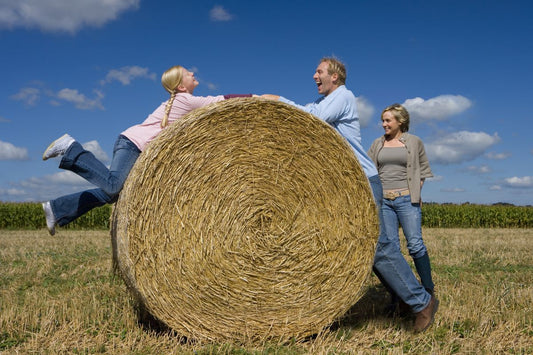 Pferdeatemwege & Futterqualität: Warum Heu & Stroh entscheidend sind