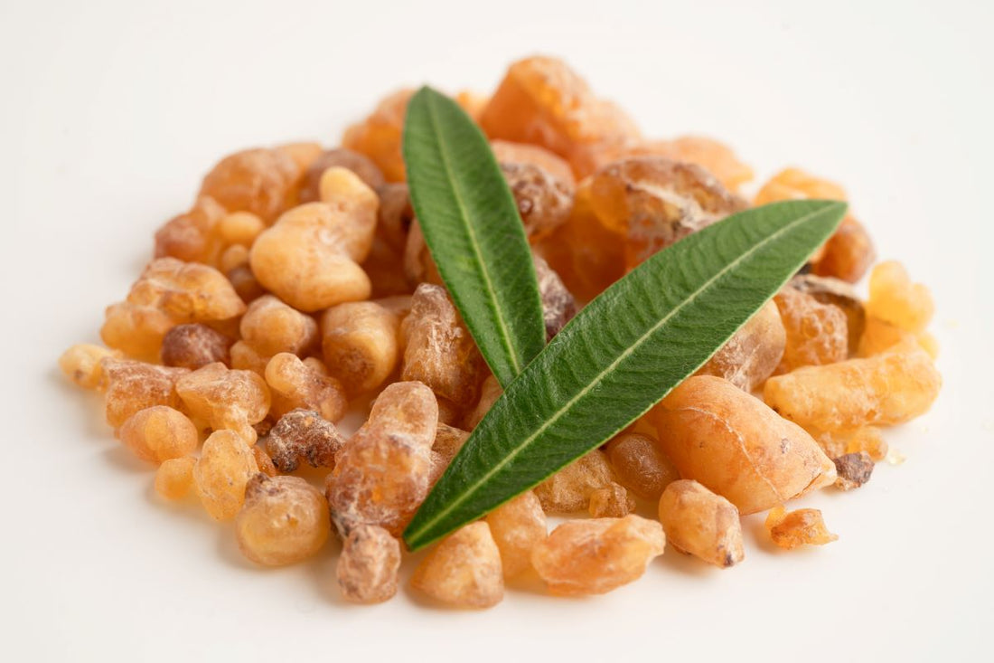 Boswellia Serrata beim Pferd: Tradition trifft Sportwissenschaft