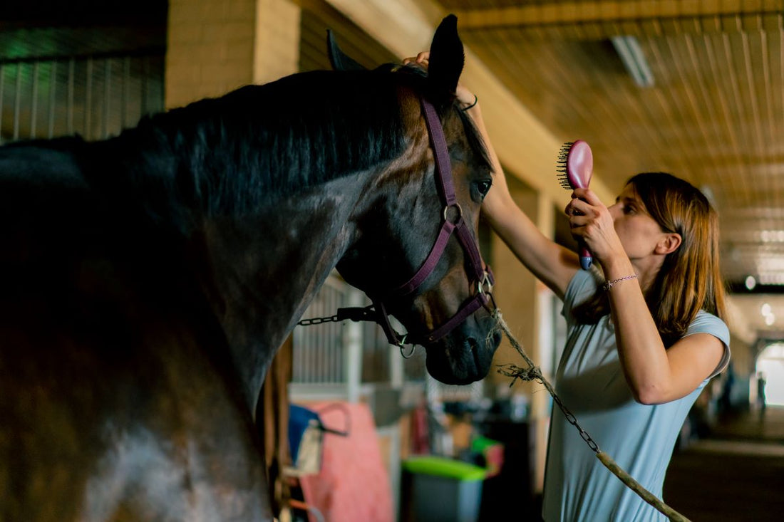 Frühjahrsputz für den Pferdekörper – Entgiften und Stoffwechsel anregen - ahipos-horses