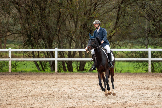 Hefe beim Pferd: Nicht jede Hefe ist gleich – und das macht den Unterschied - ahipos-horses