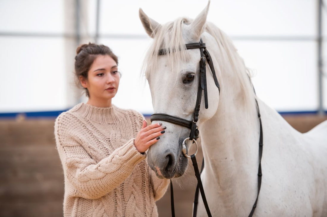 Herbst und Magen-Darm: Wie du deinen Pferd sicher durch den Futterwechsel bringst – mit 7-Tage-Plan - ahipos-horses