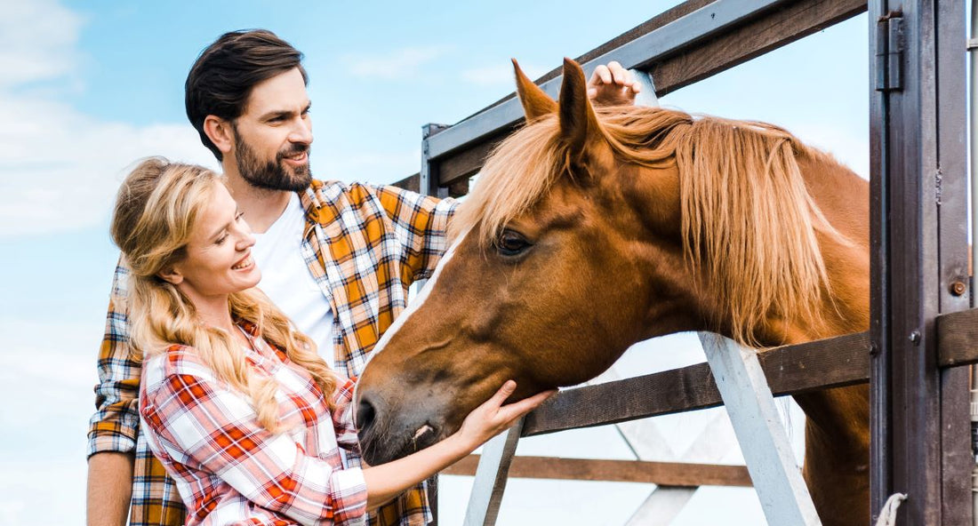 Kotwasser beim Pferd: Ursache vs. Symptom - ahipos-horses