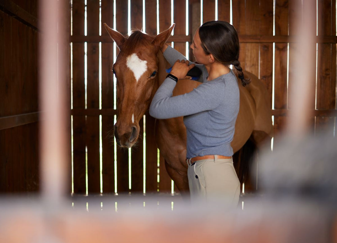 Leber beim Pferd unterstützen: Fütterung, Ursachen & Leberwerte - ahipos-horses