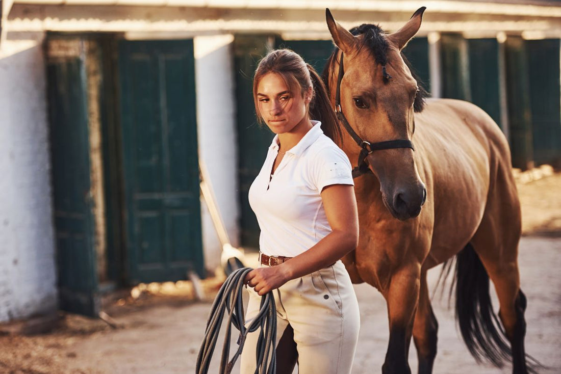 Magensäure-Schutzschild für Pferde: Die natürliche Barriere gegen stressbedingte Geschwüre - ahipos-horses