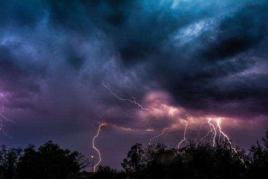 Gewitter-Panik beim Pferd