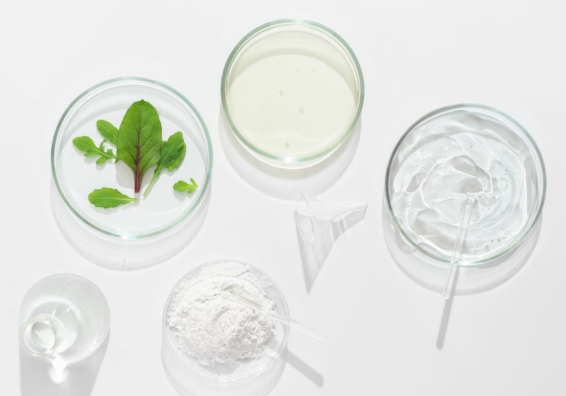 Pulver, Paste oder Liquid: Warum die Applikationsform über die Wirkung entscheidet