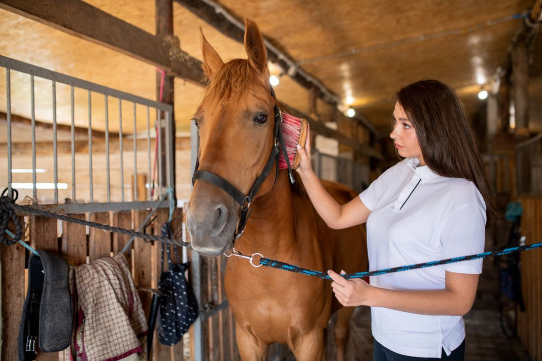 Nieren unterstützen – so hilft Fütterung und Routine deinem Pferd - ahipos-horses