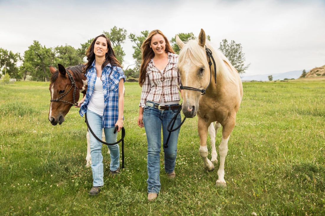 Pferd kommt nicht zur Ruhe: Ursachen, Warnzeichen & was wirklich hilft - ahipos-horses