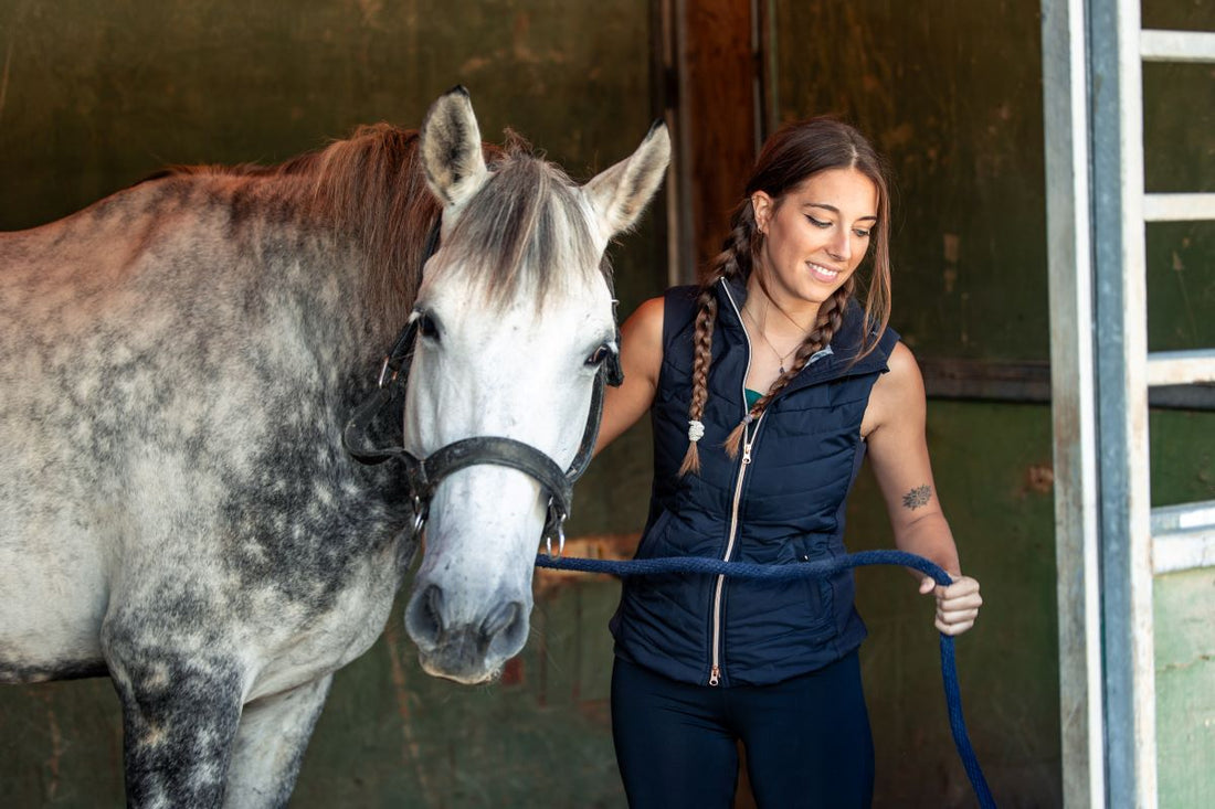 Pferd schwitzt stark - Wann ist Schwitzen normal – und wann ein Warnsignal? - ahipos-horses