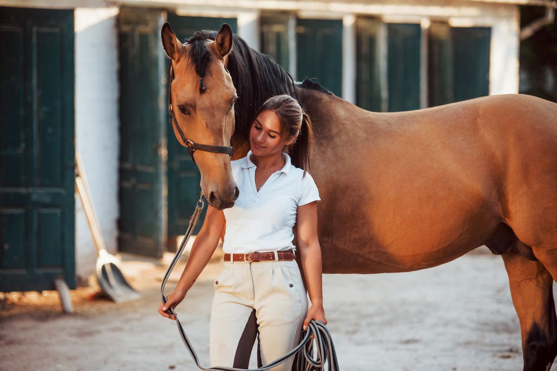 Pferde gesund abnehmen: Fütterung &Training richtig anwenden - ahipos-horses