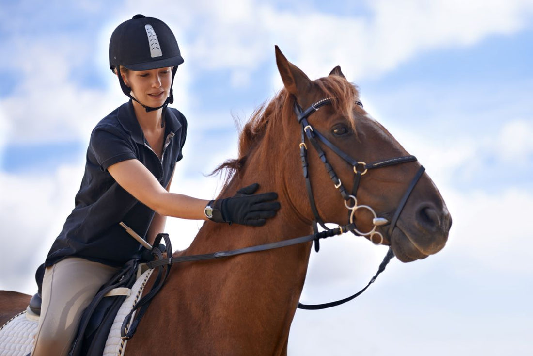 Rechtsseitige Kolitis verhindern: Die Rolle von Präbiotika und Darmflora-Stabilität - ahipos-horses