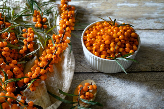 Sanddorn für Pferde: Der natürliche Feuerlöscher gegen Entzündungen und oxidativen Stress