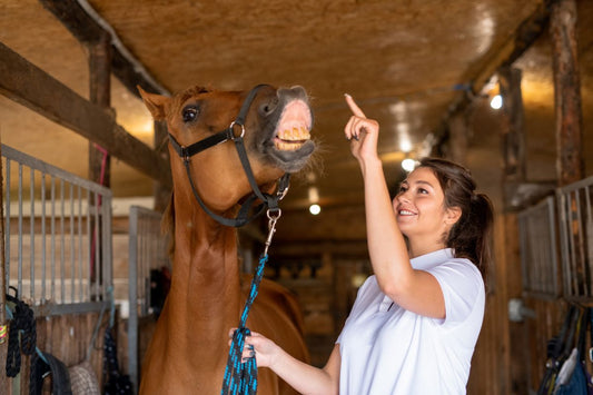 Spat beim Pferd – Symptome erkennen, Ursachen verstehen, Alltag erleichtern - ahipos-horses