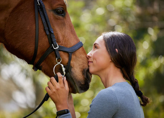 Stark durchatmen: Tipps zur Unterstützung der Lungenfunktion deines Pferdes - ahipos-horses