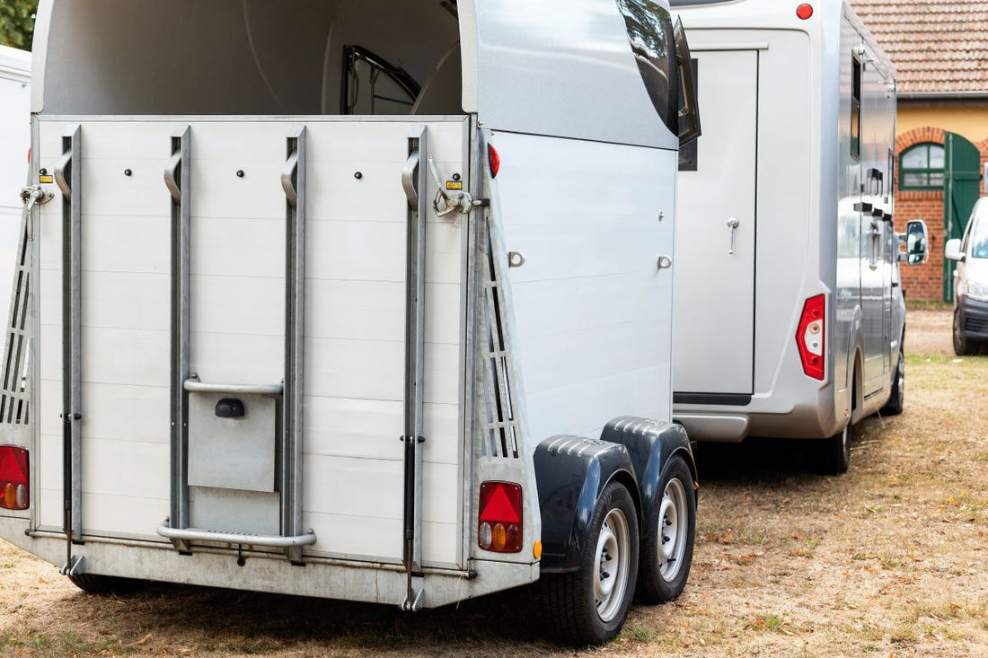 Stress, Transport und Futterwechsel: Die 3 größten Auslöser für Magen-Darm-Probleme - ahipos-horses