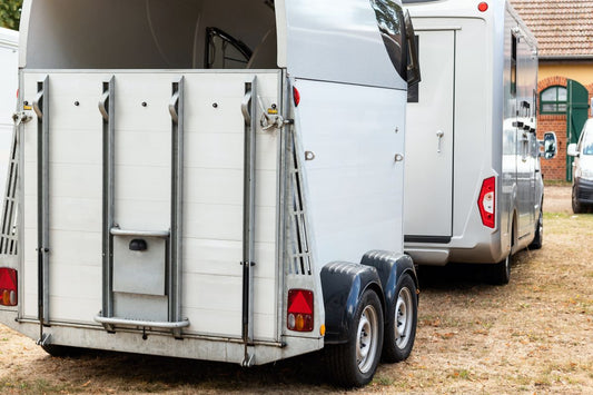 Stress, Transport und Futterwechsel: Die 3 größten Auslöser für Magen-Darm-Probleme - ahipos-horses