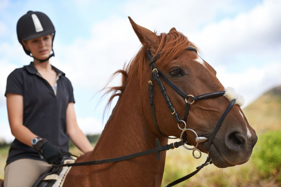 Trageschwäche erkennen: Wenn der Rücken absackt und der Takt fehlt - ahipos-horses