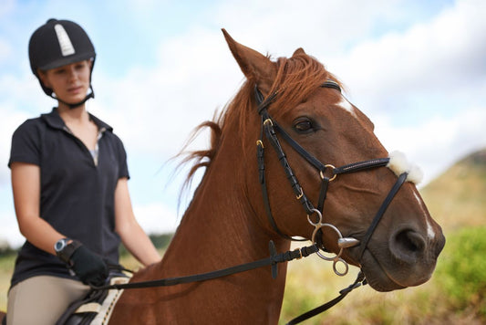 Trageschwäche erkennen: Wenn der Rücken absackt und der Takt fehlt - ahipos-horses