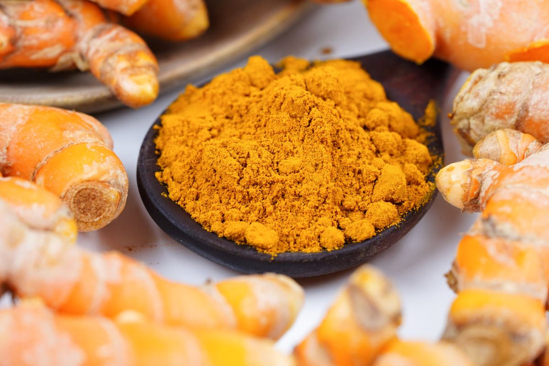 Kurkuma beim Pferd: Nicht alle Formen sind gleich wirksam