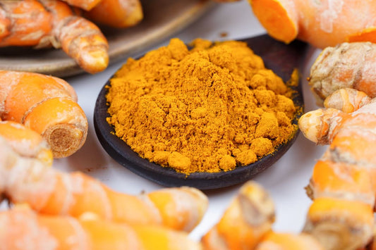 Kurkuma beim Pferd: Nicht alle Formen sind gleich wirksam