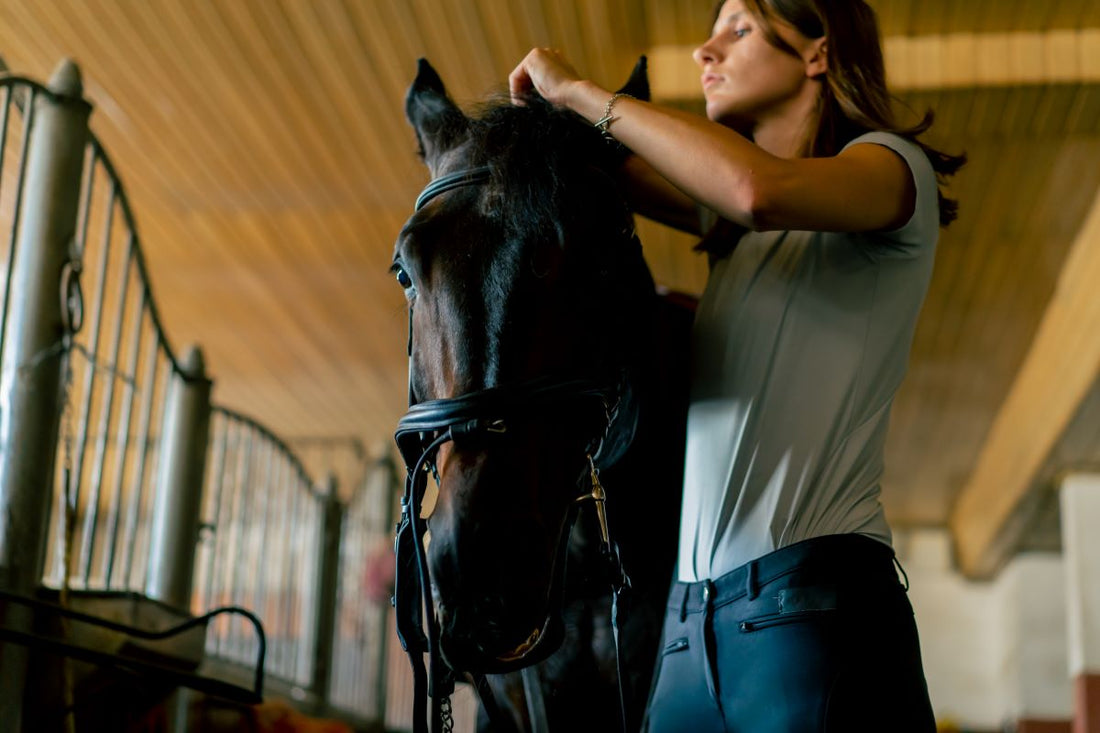Verdauung im Fokus – warum der Darm über Leistung entscheidet - ahipos-horses
