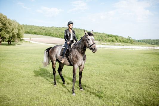 Vitamin E beim Pferd: Warum Mangel häufiger ist als man denkt - ahipos-horses