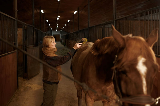 Warum der Fellwechsel für dein Pferd herausfordernd ist - ahipos-horses
