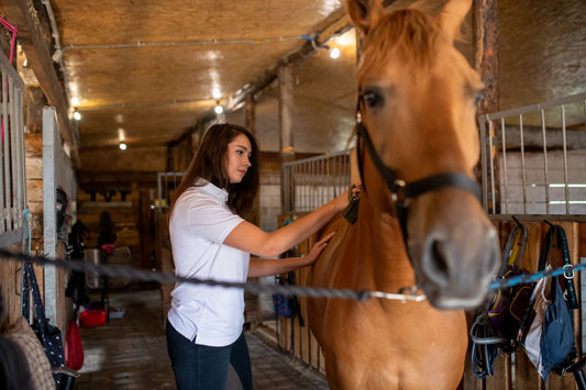 Warum Stress und Infekte für Pferde besonders belastend sind - ahipos-horses