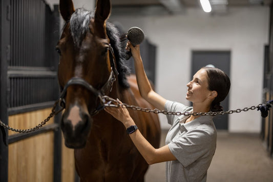 Warum Sulforaphan oft wirksamer entgiftet als Kräuter - ahipos-horses