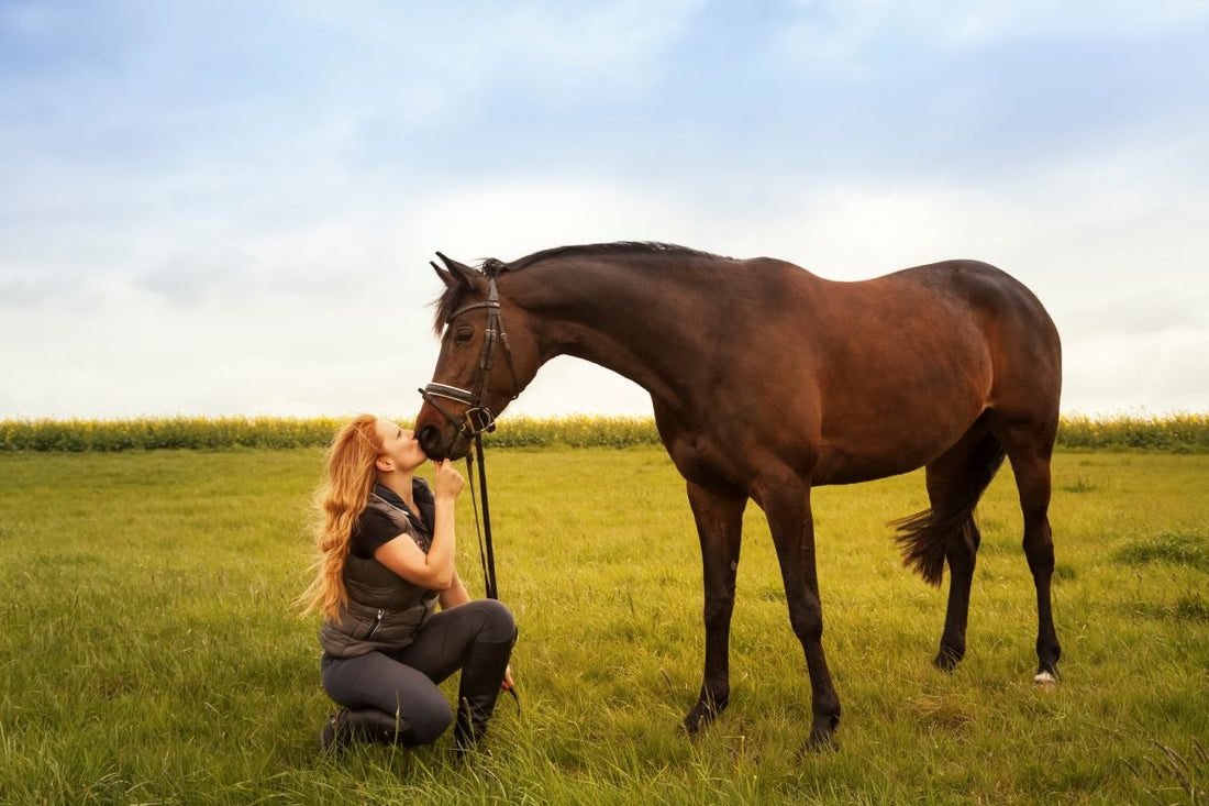Wenn der Magen mitreitet – Stress erkennen vermeiden - ahipos-horses