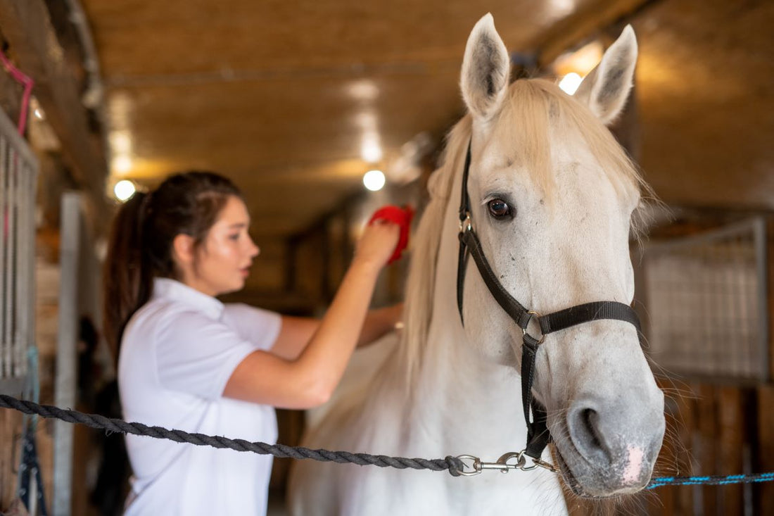 Wie viel trinkt ein Pferd am Tag? 20–60 Liter – erklärt - ahipos-horses