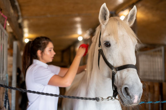 Wie viel trinkt ein Pferd am Tag? 20–60 Liter – erklärt - ahipos-horses