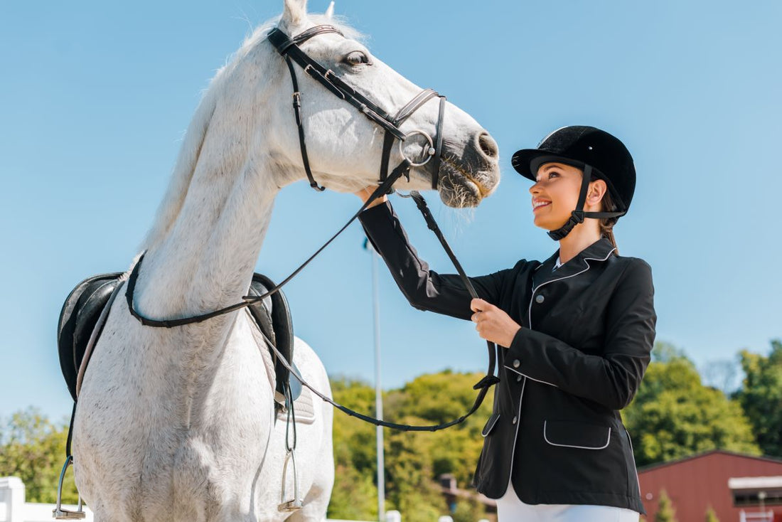 Winterblues beim Pferd: Wenn Dunkelheit, Stallruhe und Nährstoffmangel Leistung kosten - ahipos-horses