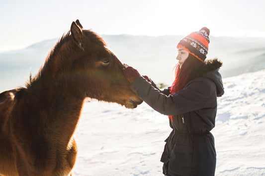 Winterfütterung Pferd: Ernährung, Supplemente & Hydrierung richtig anpassen - ahipos-horses